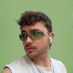 ico_dingo
