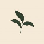 ico_ecodecs