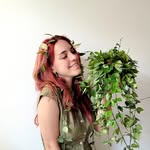 ico_plantulinas