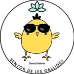 ico_senyordelesgallines