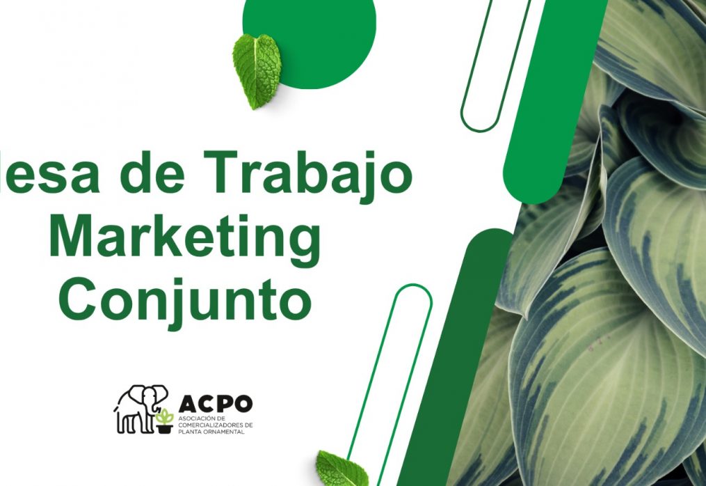 ACPO impulsa un grupo de marketing conjunto para fortalecer el sector verde