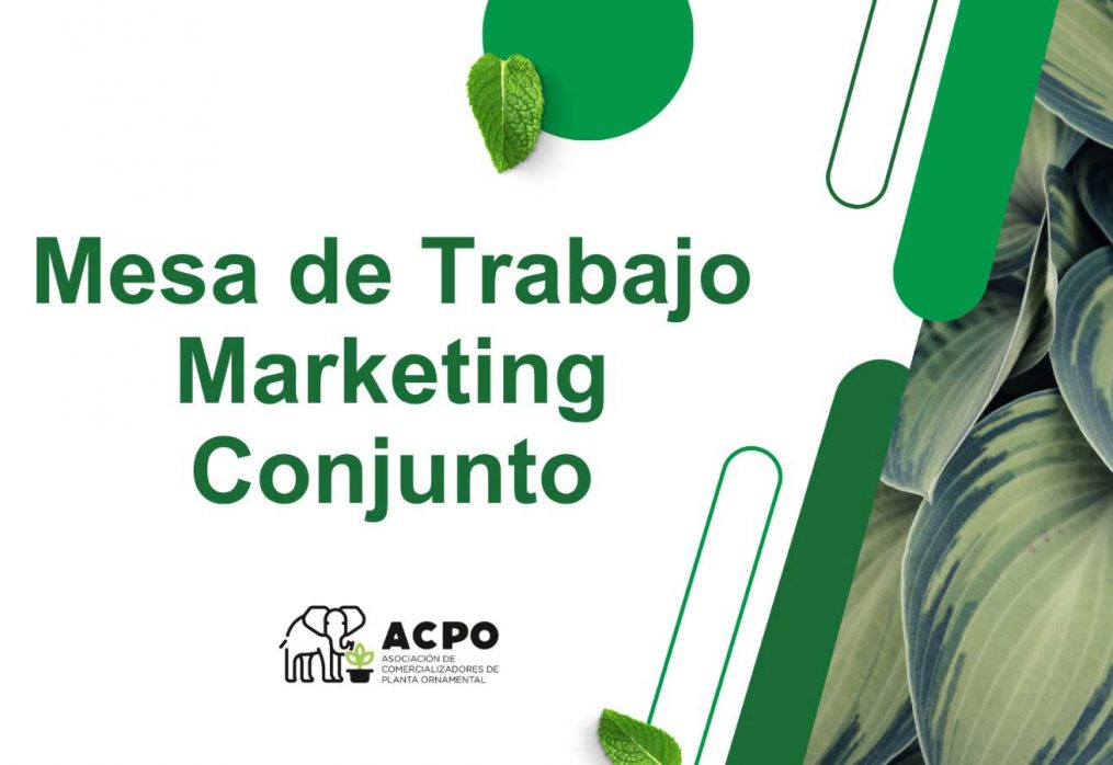 ACPO impulsa un grupo de marketing conjunto para fortalecer el sector verde