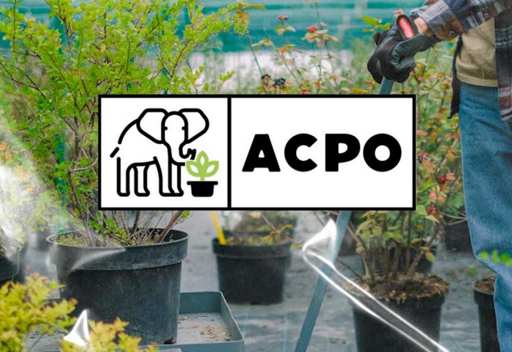 Webinar ACPO: Presentación del Informe sobre la Ley de Residuos y Envases