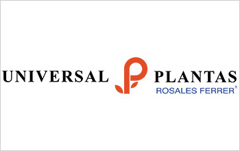 Universal Plantas Rosales Ferrer